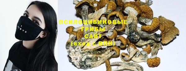мескалин Абинск
