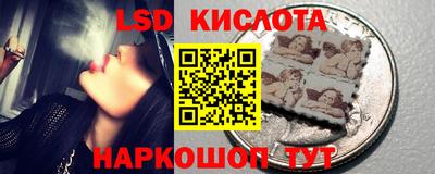 PSILOCYBIN Кунгур